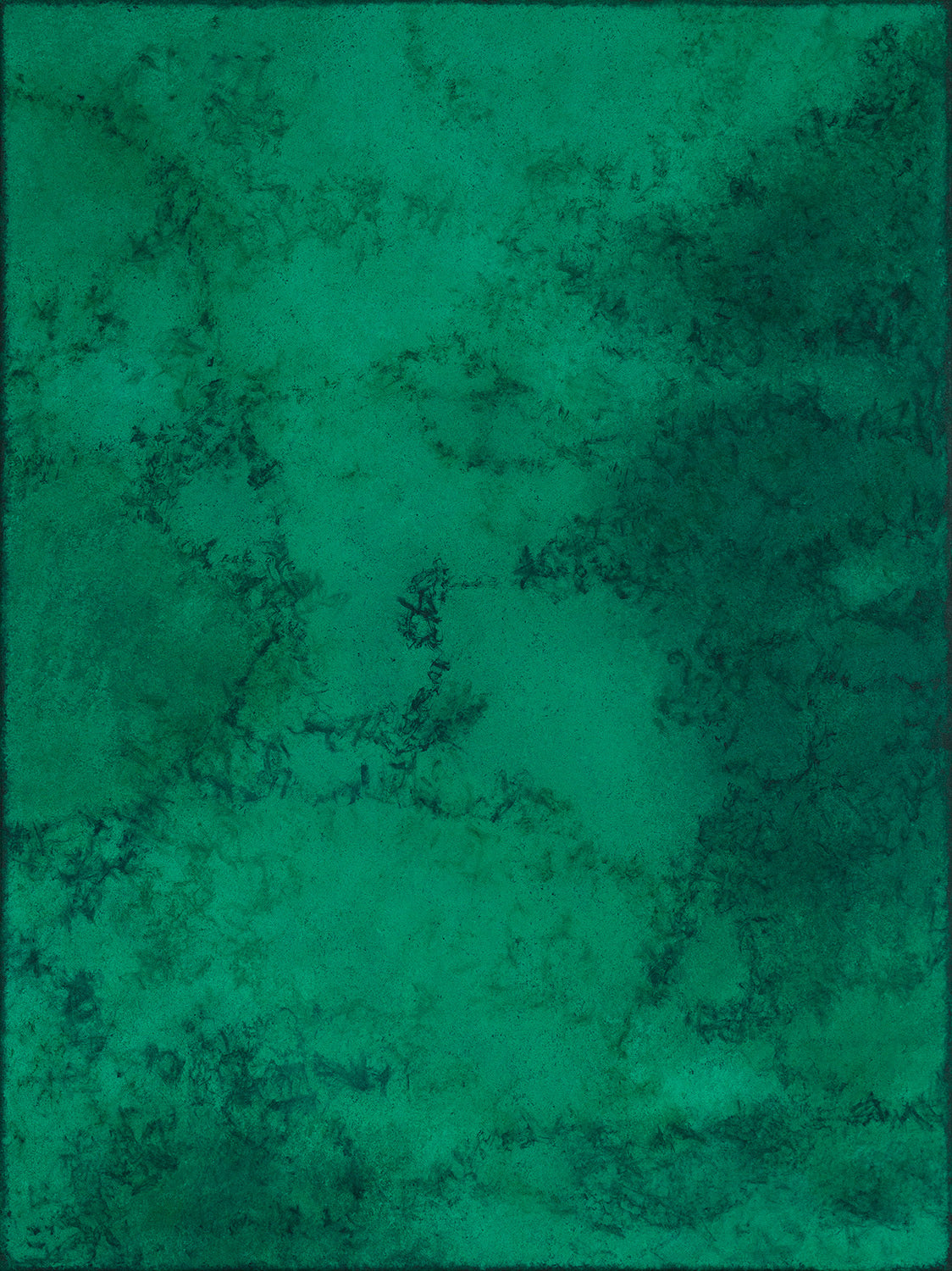 Natural World - Limited Edition Print